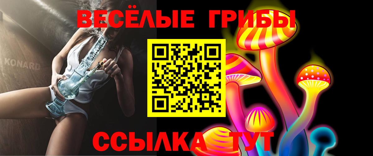 Псилоцибиновые грибы GOLDEN TEACHER Донецк